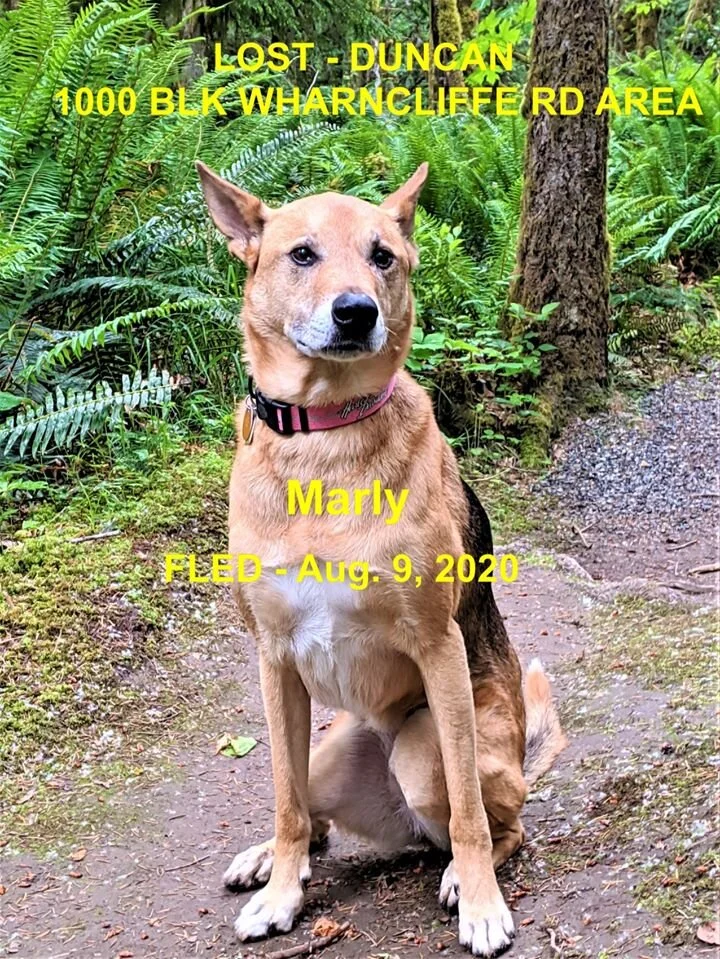 HAPPY ENDINGS - DUNCAN BC - AUG 9, 2020