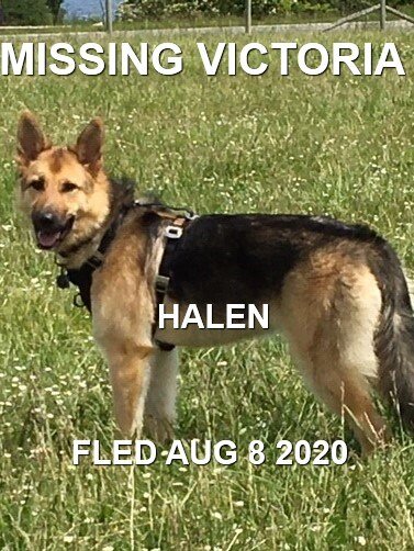 HAPPY ENDINGS - VICTORIA BC - AUG 8, 2020