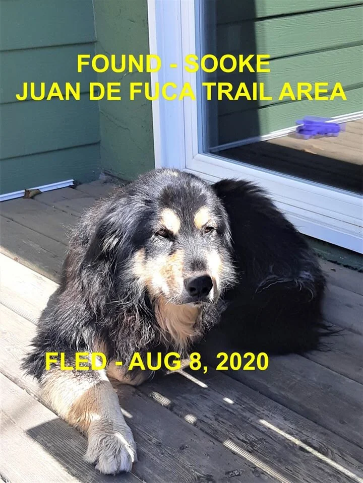 SUCCESSFUL STORIES - STELLA MISSING MAY 2 - AUG 8 2020