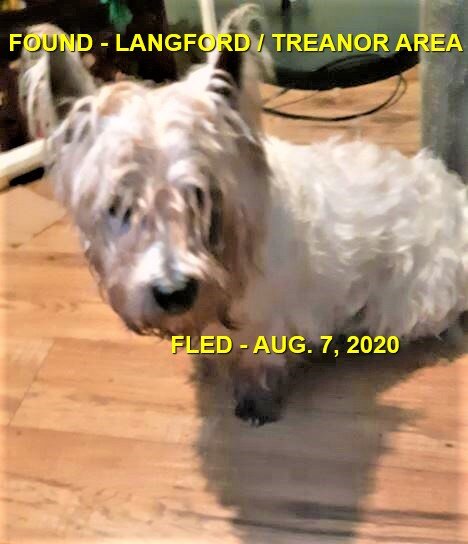 HAPPY ENDINGS - LANGFORD BC - AUG 6, 2020