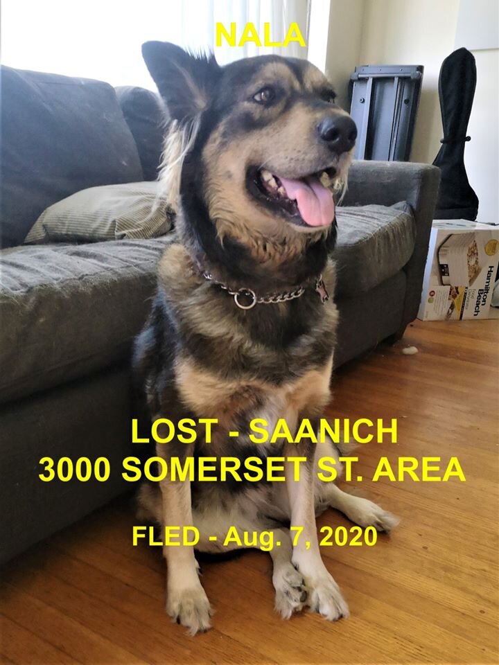 HAPPY ENDINGS - SAANICH BC - AUG 7, 2020