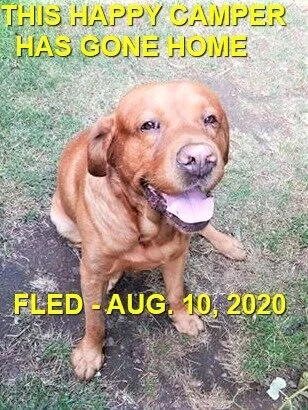 HAPPY ENDINGS - DUNCAN BC - JULY 6, 2020