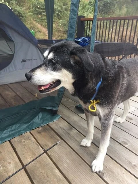 HAPPY ENDINGS - SHAWNIGAN LAKE BC - AUG 7, 2020