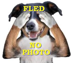 HAPPY ENDINGS - SAANICH BC - AUG 20, 2020