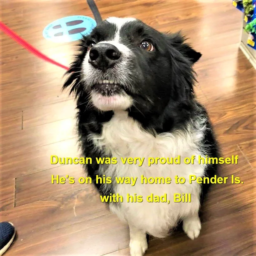 HAPPY ENDINGS - SIDNEY BC - AUG 20, 2020