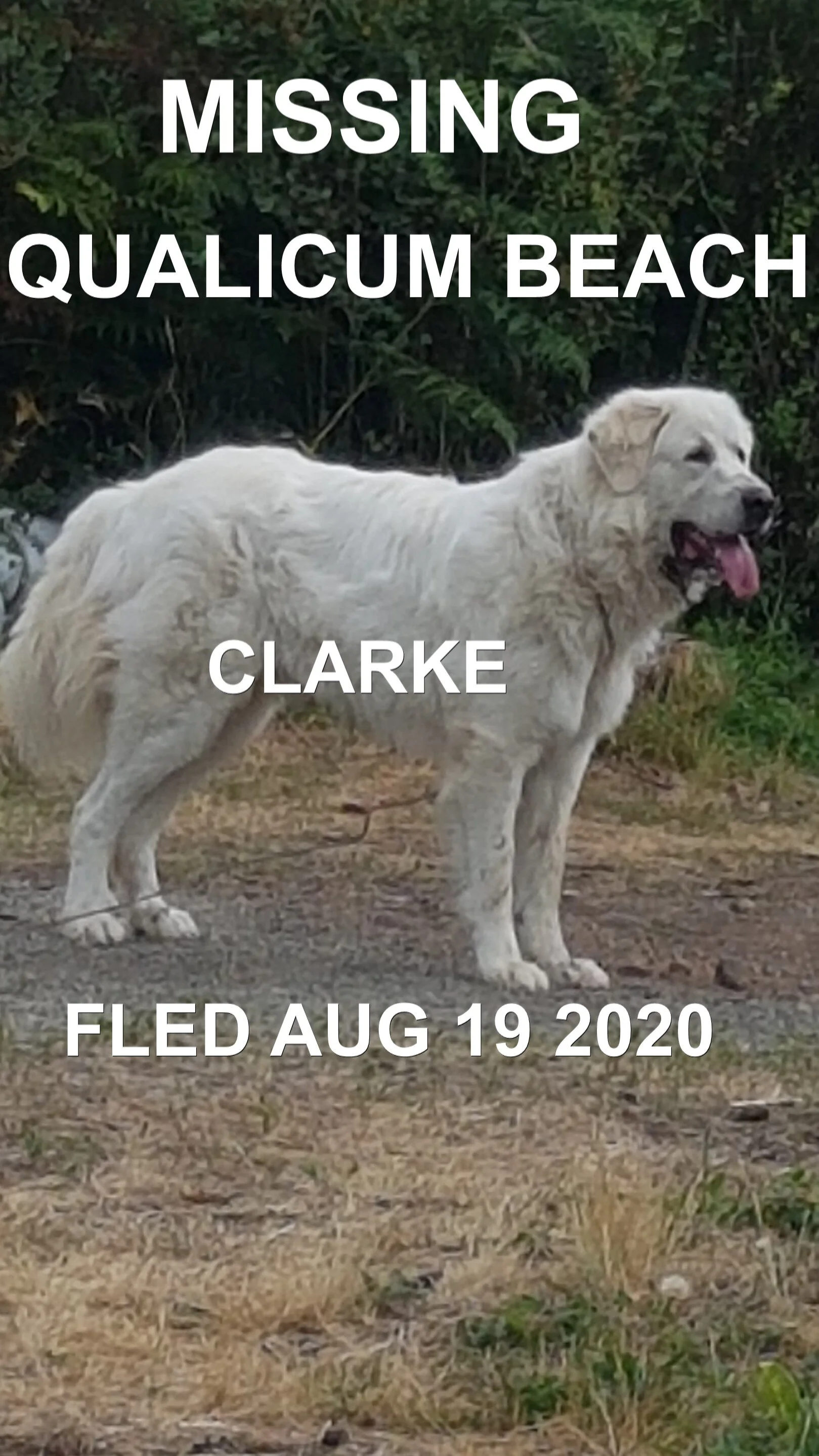 HAPPY ENDINGS - QUALICUM BEACH - AUG. 19, 2020