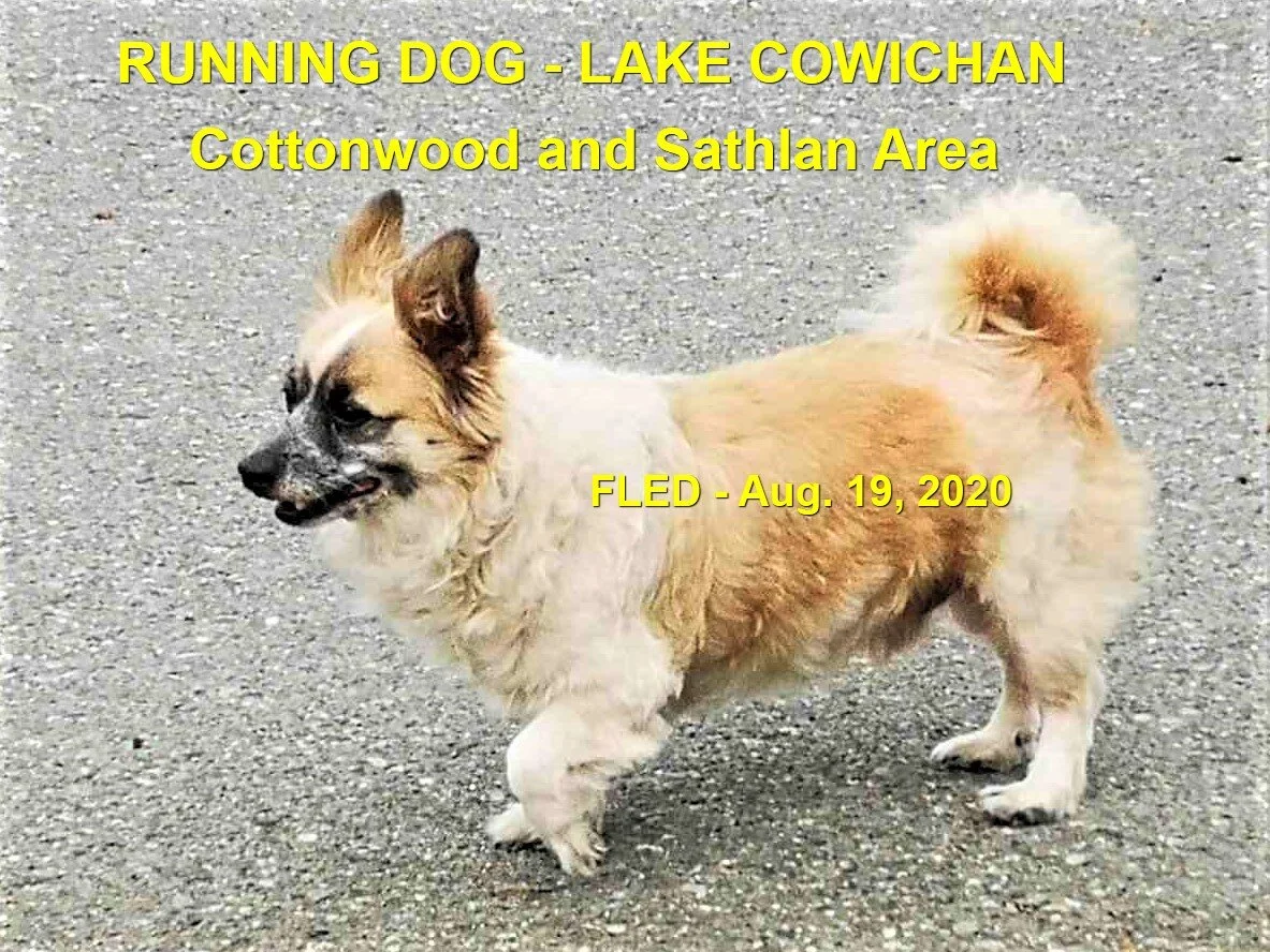 HAPPY ENDINGS - LAKE COWICHAN BC - AUG