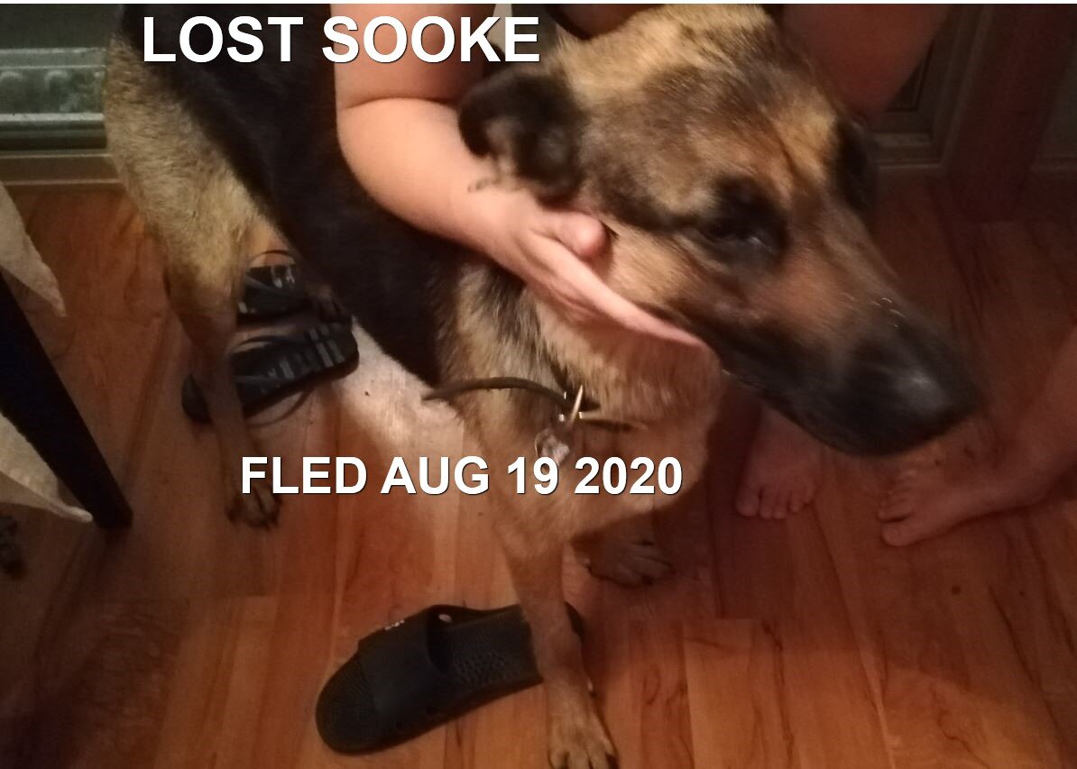 HAPPY ENDINGS - SOOKE BC - AUG 18, 2020