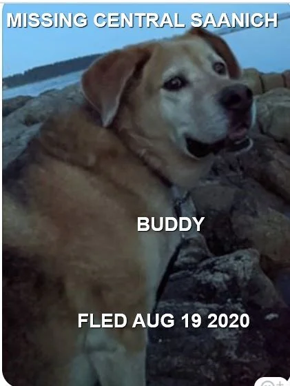 HAPPY ENDINGS - CENTRAL SAANICH BC - 