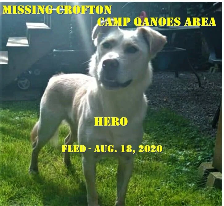 HAPPY ENDINGS - CROFTON BC - AUG 18, 2020