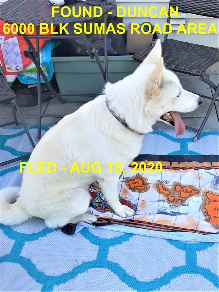 HAPPY ENDINGS - DUNCAN BC - AUG 18, 2020