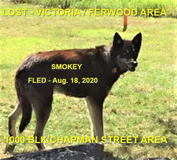 HAPPY ENDINGS - VICTORIA - AUG 18, 2020