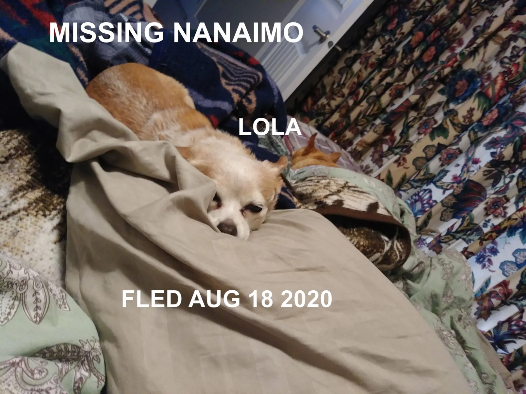 HAPPY ENDINGS - NANAIMO BC - AUG 16, 2020