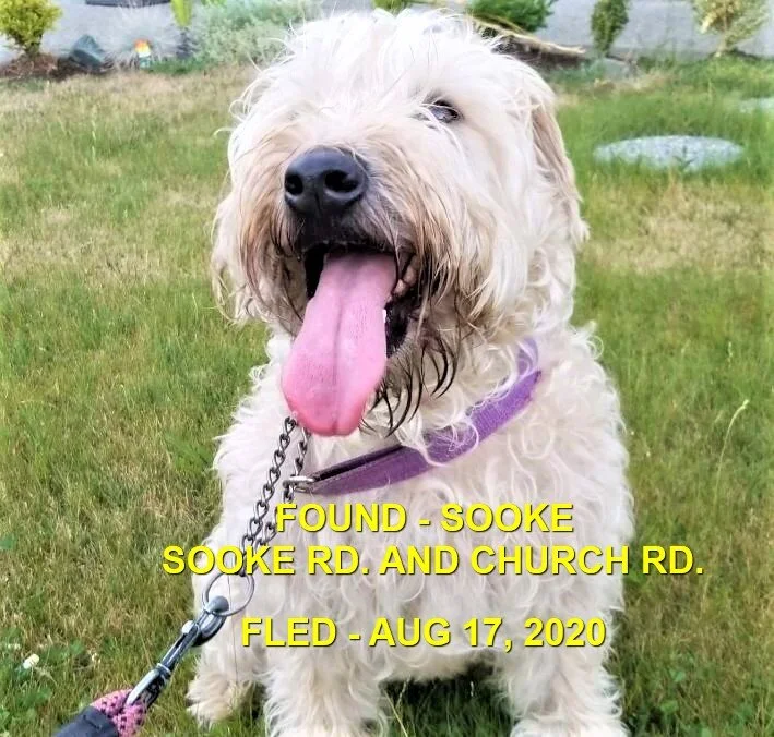 HAPPY ENDINGS - SOOKE BC - AUG. 17, 2020