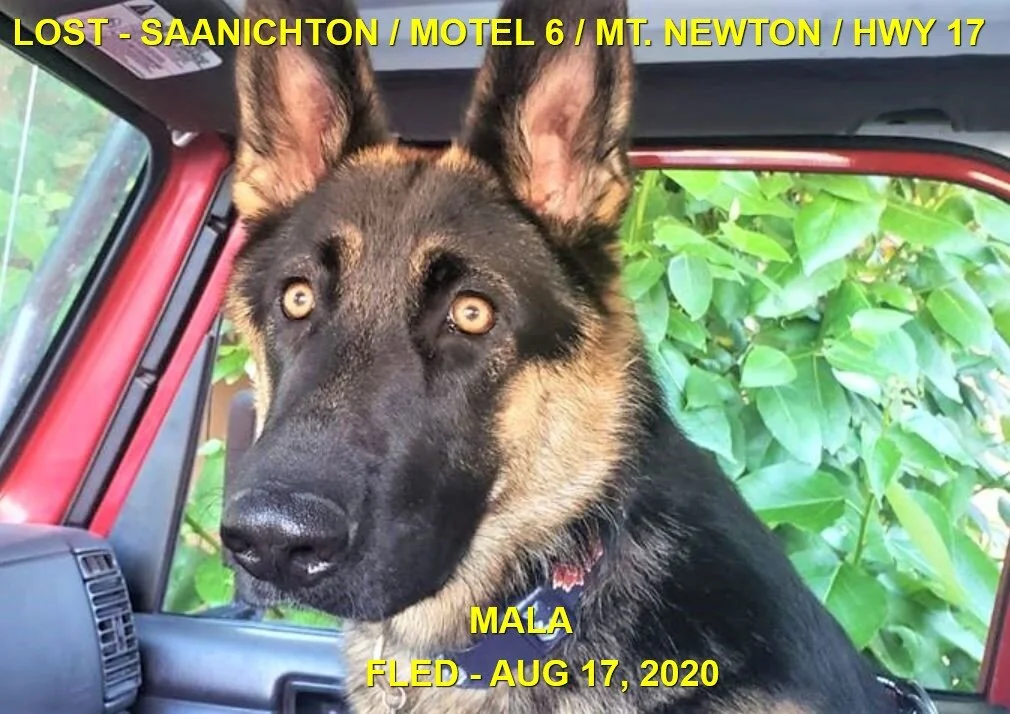 HAPPY ENDINGS - CENTRAL SAANICH BC - AUG 17, 2020