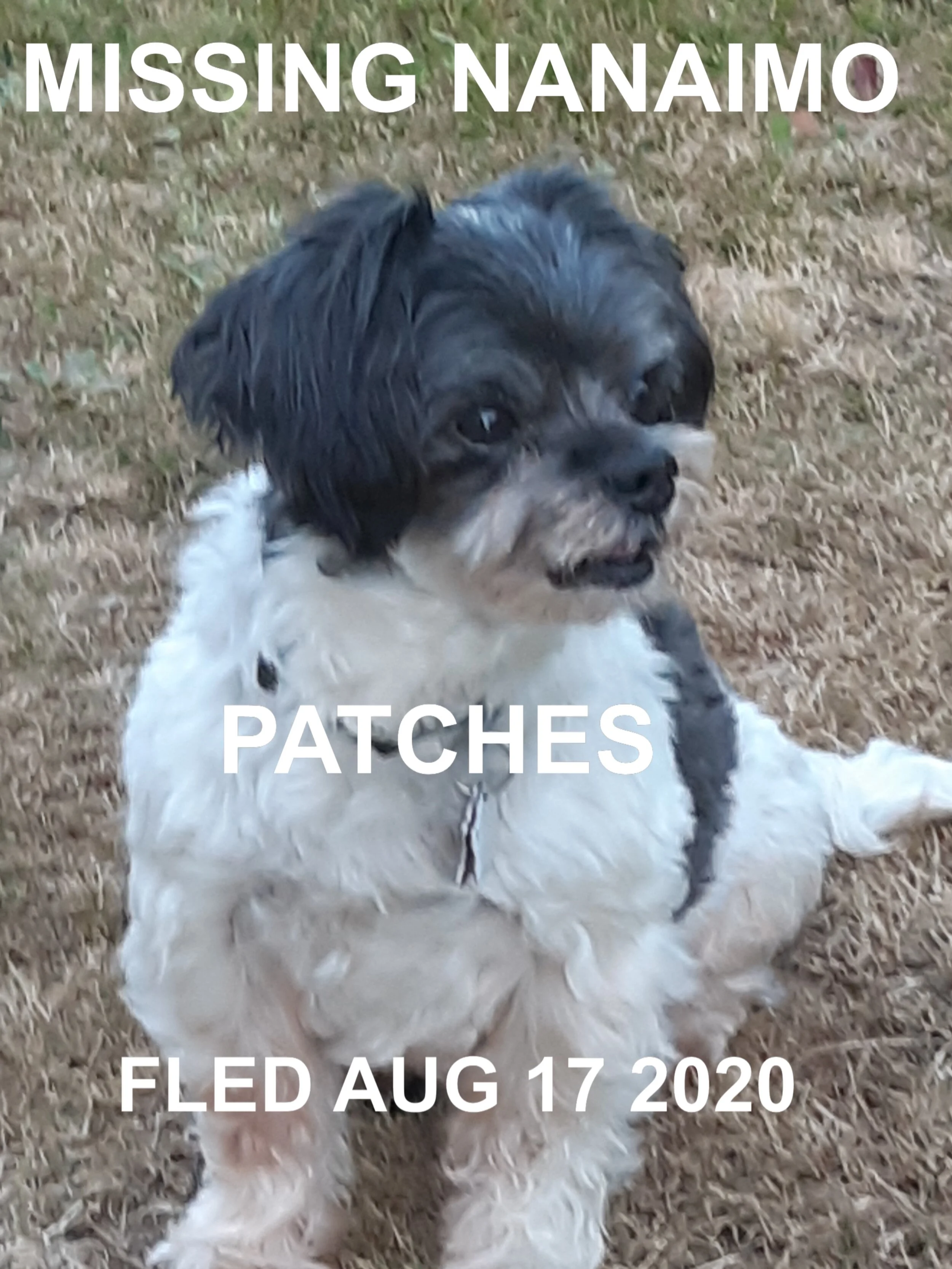 HAPPY ENDINGS - NANAIMO BC - AUG 17, 2020