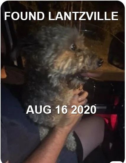 HAPPY ENDINGS - LANTZVILL BC - AUG 16, 2020