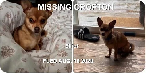 HAPPY ENDINGS - CROFTON BC - AUG 16, 2020