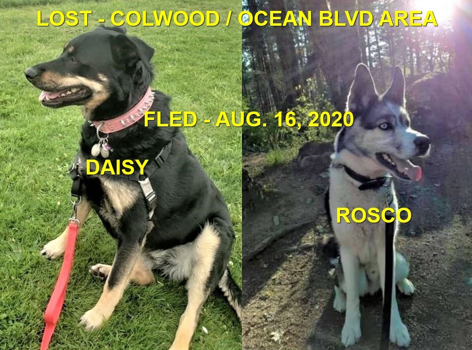 HAPPY ENDINGS - COLWOOD BC - 