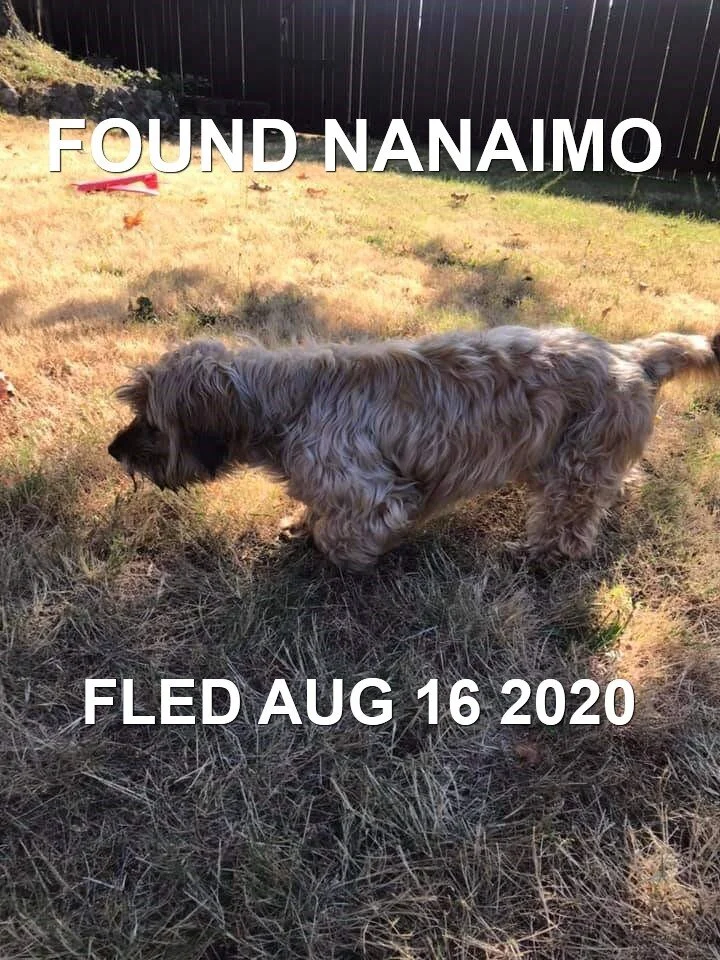 HAPPY ENDINGS - NANAIMO BC - AUG 16, 2020