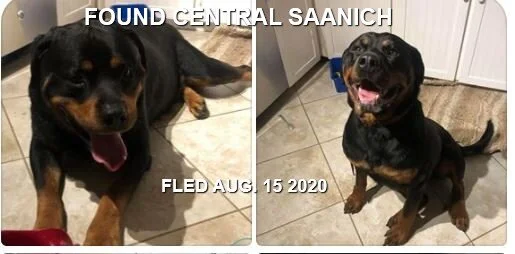 HAPPY ENDINGS - CENTRAL SAANICH BC - AUG 16, 2020