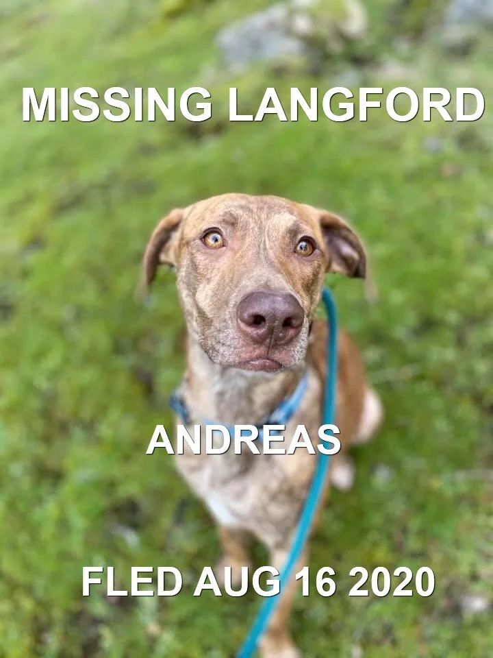 HAPPY ENDINGS - LANGFORD BC - AUG 15, 2020