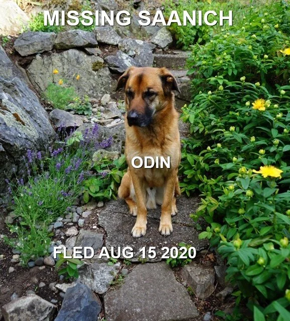 HAPPY ENDINGS - SAANICH BC - AUG 14, 2020