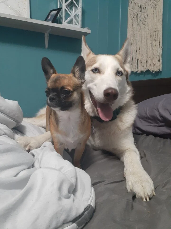 HAPPY ENDING - LANGFORD BC - SUCCESSFUL CATCH - AUG 13, 2020