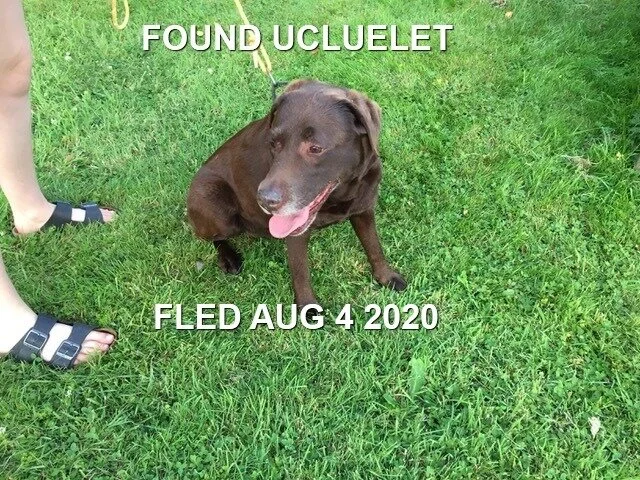 HAPPY ENDINGS - UCLUELET - AUG 3, 2020