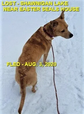 HAPPY ENDINGS - SHAWNIGAN LAKE - AUG 3, 2020