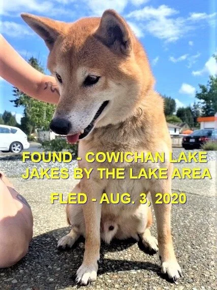 HAPPY ENDINGS - COWICHAN LAKE BC - AUG 3, 2020