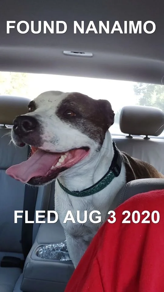 HAPPY ENDINGS - NANAIMO BC - AUG 3, 2020