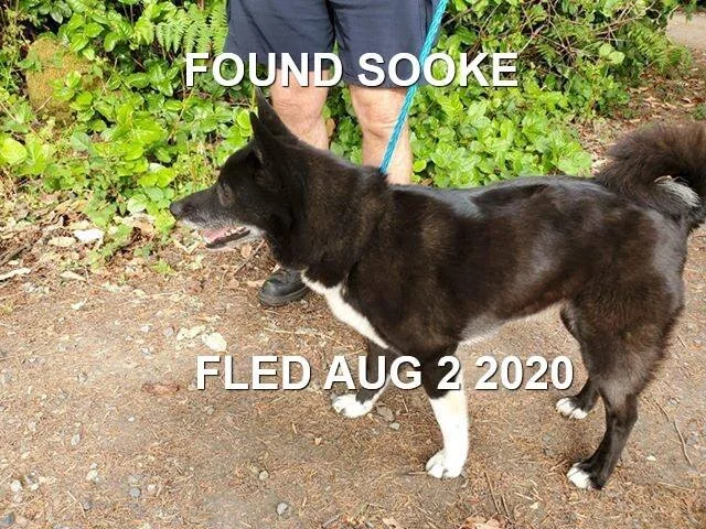 HAPPY ENDINGS - SOOKE BC - AUG 2, 2020