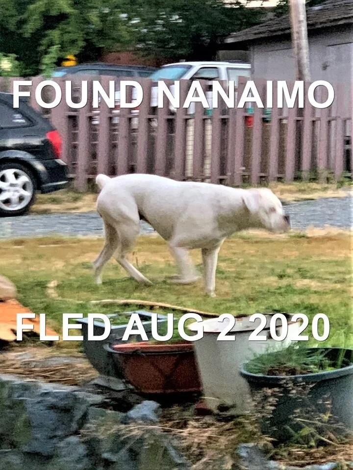 HAPPY ENDINGS - NANAIMO BC - AUG 2, 2020