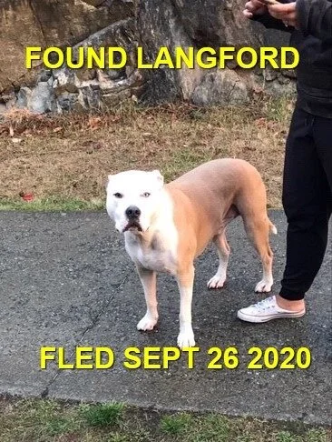 HAPPY ENDINGS - LANGFORD BC - SEPT. 26, 2020