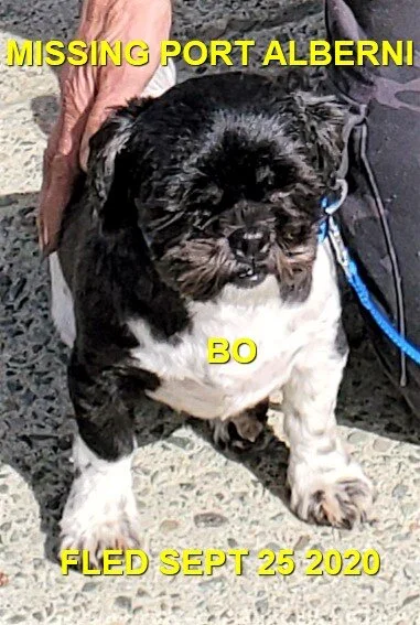 HAPPY ENDINGS - PORT ALBERNI / HWY 4 BC - SEPT. 25, 2020