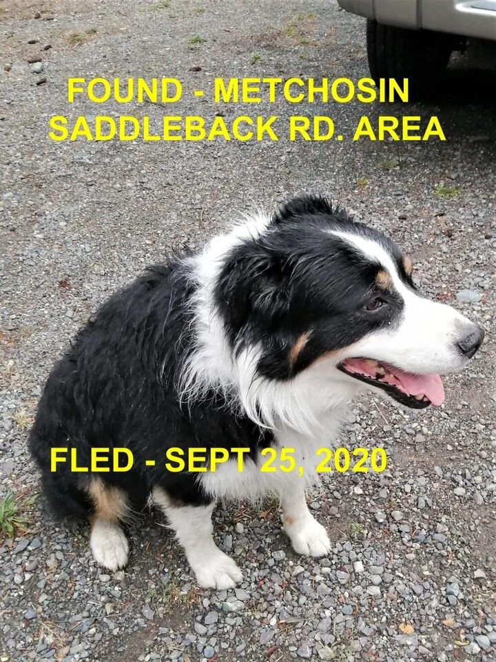 HAPPY ENDINGS - METCHOSIN BC - SEPT. 25, 2020