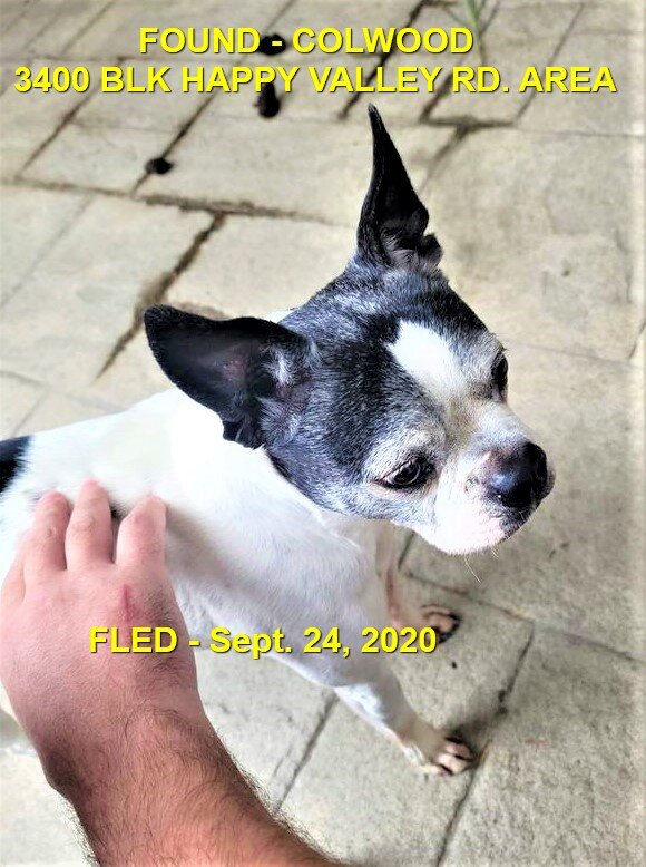 HAPPY ENDINGS - DUNCAN BC - SEPT. 24, 2020