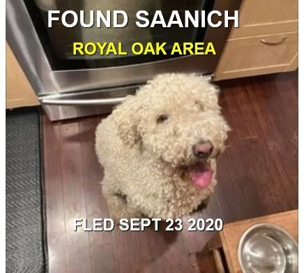 HAPPY ENDINGS - SAANICH BC - SEPT 23, 2020