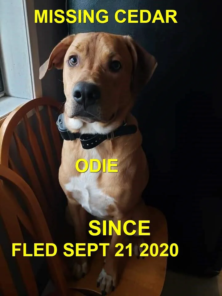 HAPPY ENDINGS - NANAIMO / CEDAR BC - SEPT 21 2020