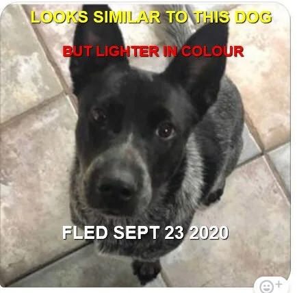 HAPPY ENDINGS - VIEW ROYAL BC - SEPT 23, 2020