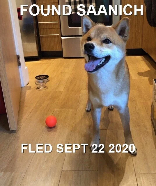 HAPPY ENDINGS - SAANICH BC - SEPT 22, 2020