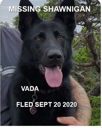 HAPPY ENDINGS - SHAWNIGAN LAKE BC - SEPT 20, 2020