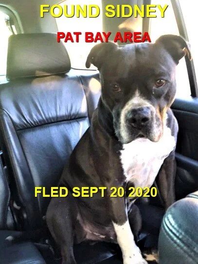 HAPPY ENDINGS - NORTH SAANICH BC - SEPT 20, 2020