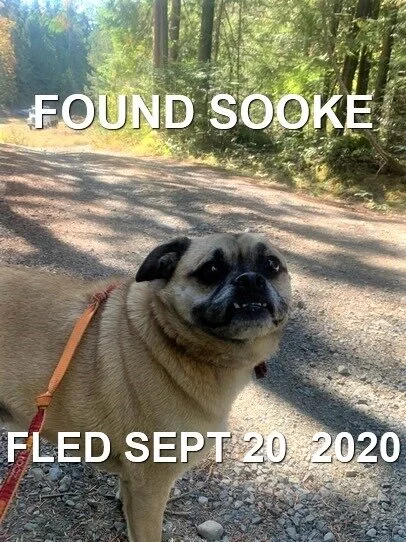 HAPPY ENDINGS - SOOKE BC - SEPT 20, 2020