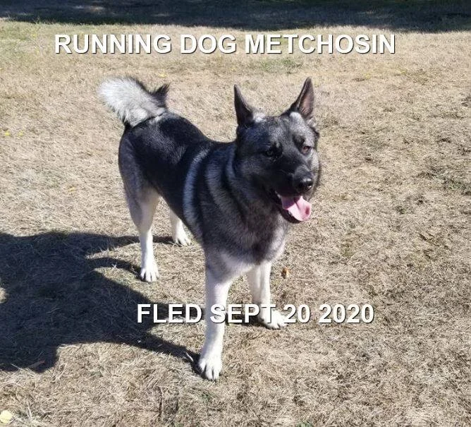 HAPPY ENDINGS - METCHOSIN BC - SEPT 20, 2020