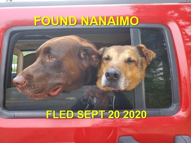 HAPPY ENDINGS - NANAIMO BC - SEPT 20, 2020