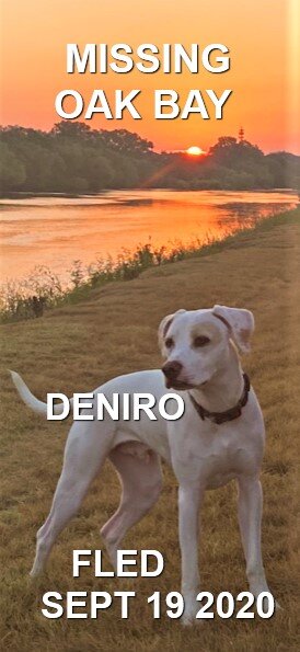 HAPPY ENDINGS - OAK BAY BC - SEPT 19, 2020