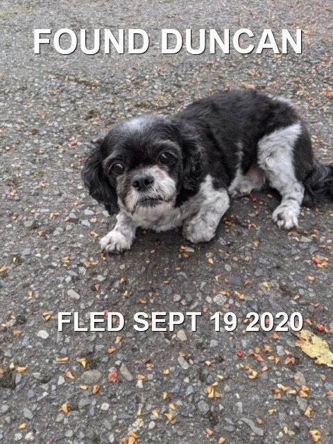 HAPPY ENDINGS - DUNCAN BC - SEPT 19, 2020