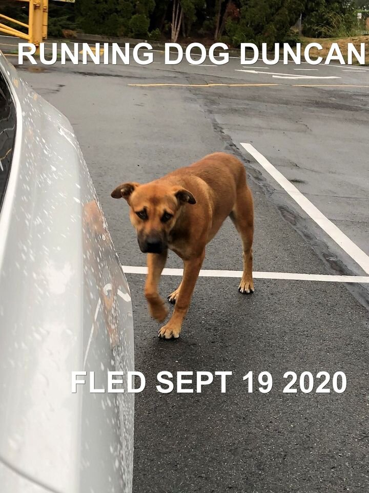 UNRESOLVED - DUNCAN BC - SEPT 18, 2020